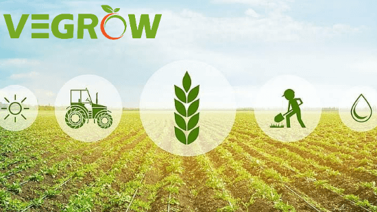 startup Vegrow Funding