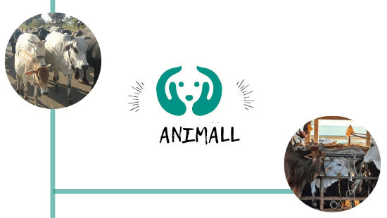 Animall Funding News