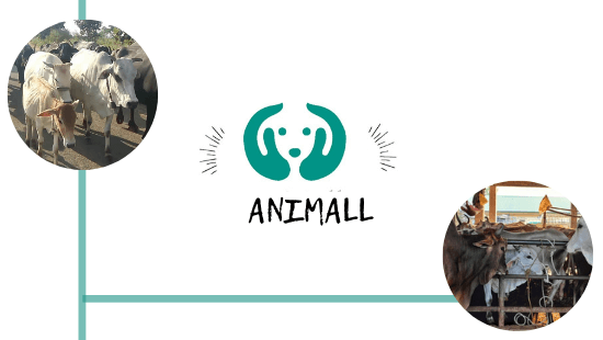 Animall Founders: Anurag Bisoi, Libin Babu, Neetu Yadav, and Sandeep Mahapatra