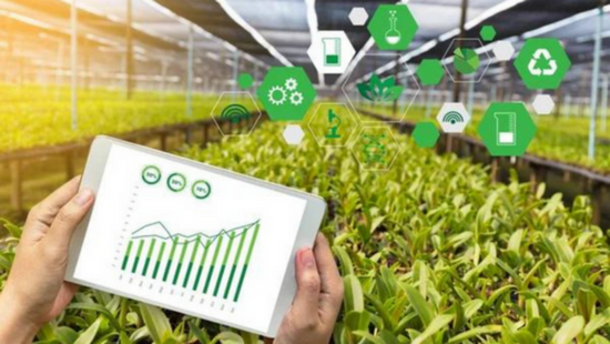 Economic Survey: Agritech Startups In India