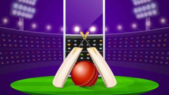 Fantasy Sports Platforms And IPL 2023