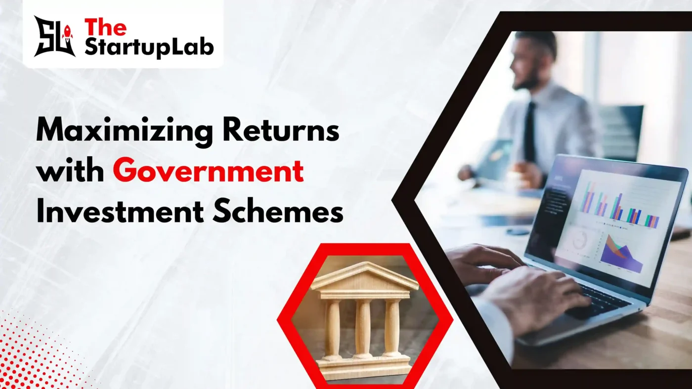 Maximizing Returns with Government Investment Schemes